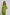 Women Regular Fit Jacket - Green