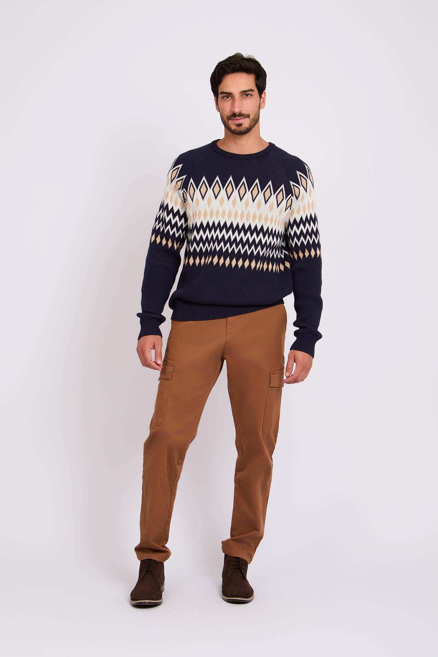 Men Regular Fit Pants Brown