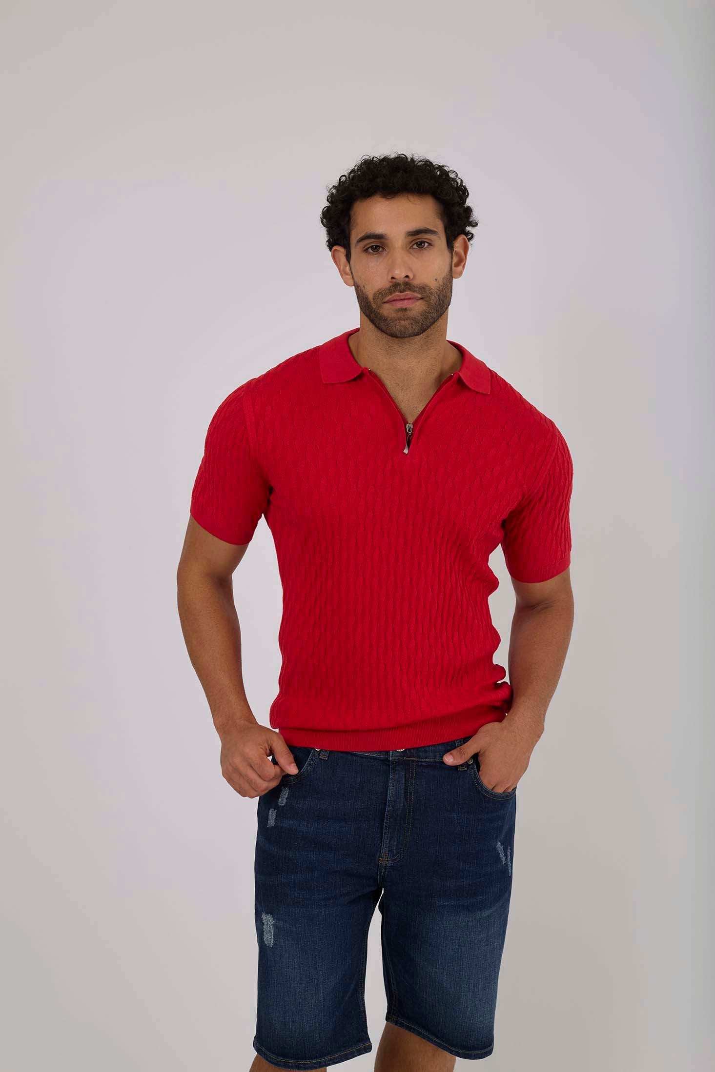 Men Regular Fit Polo - Red