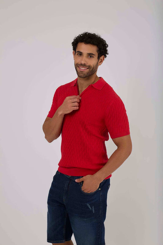 Men Regular Fit Polo - Red