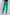 Women Regular Fit Pant - Green