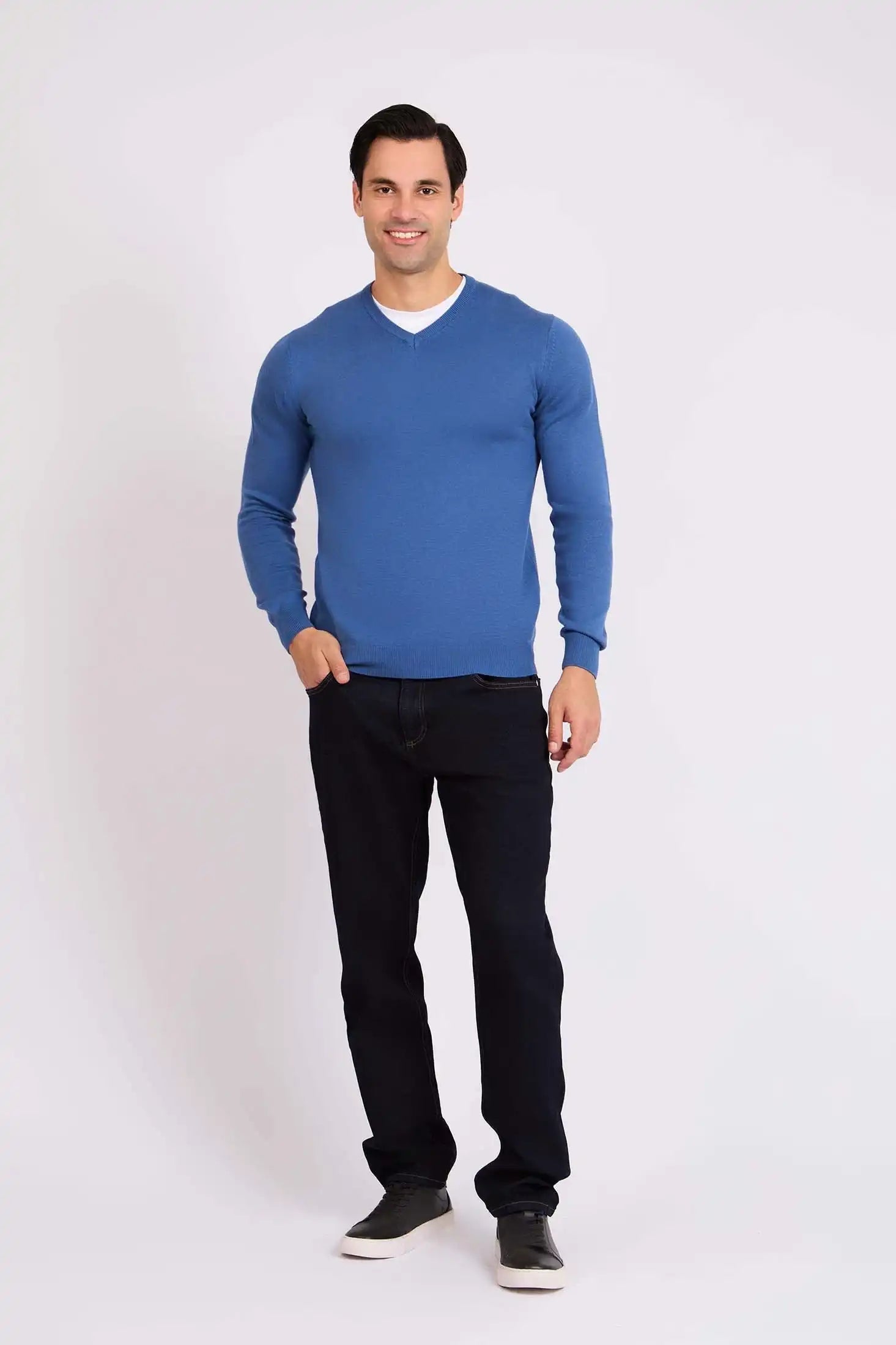 Men Regular Fit Pullover Blue
