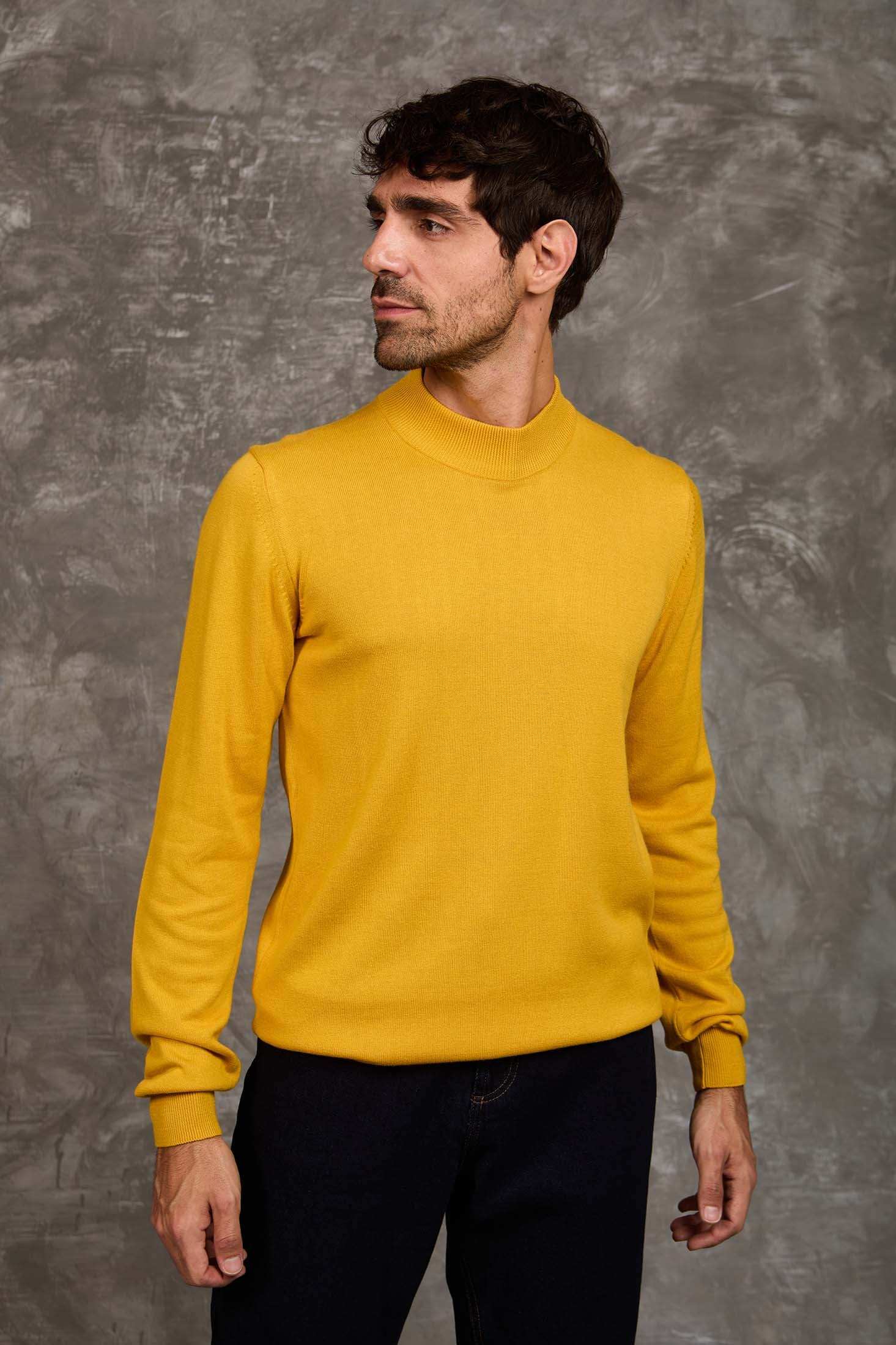 Slip On Solid Pullover with Turtle Neck