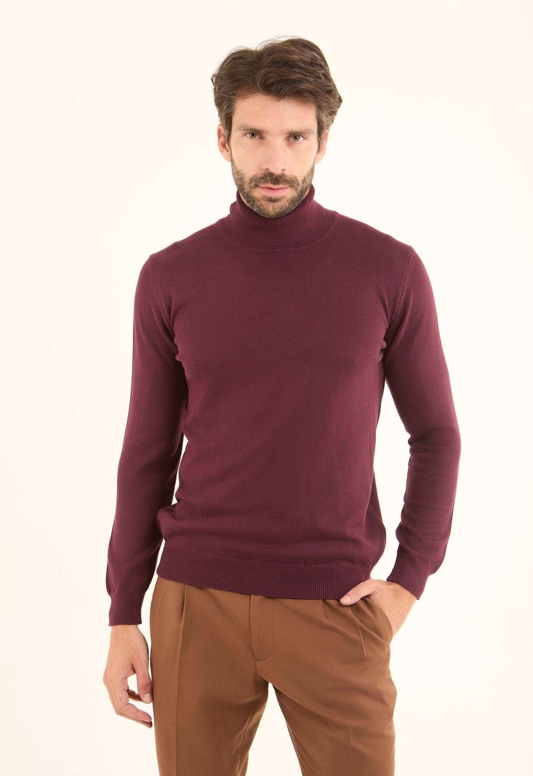 Turtle Neck Solid Regular Basic Pullover