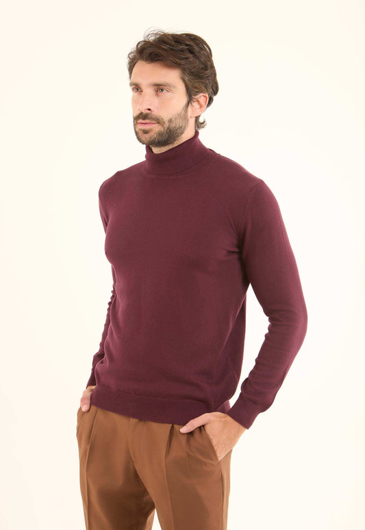 Turtle Neck Solid Regular Basic Pullover