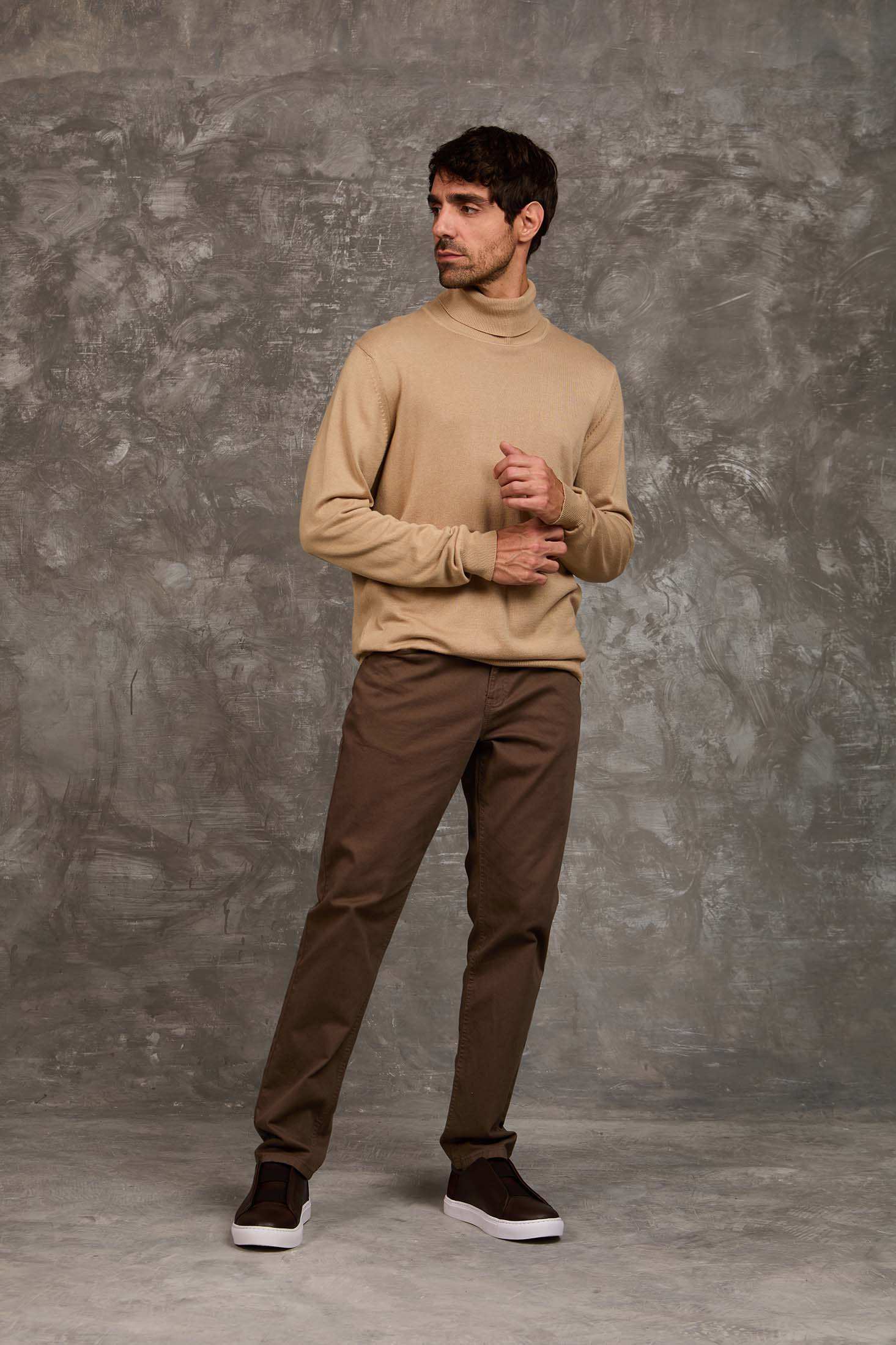 Turtle Neck Solid Regular Basic Pullover
