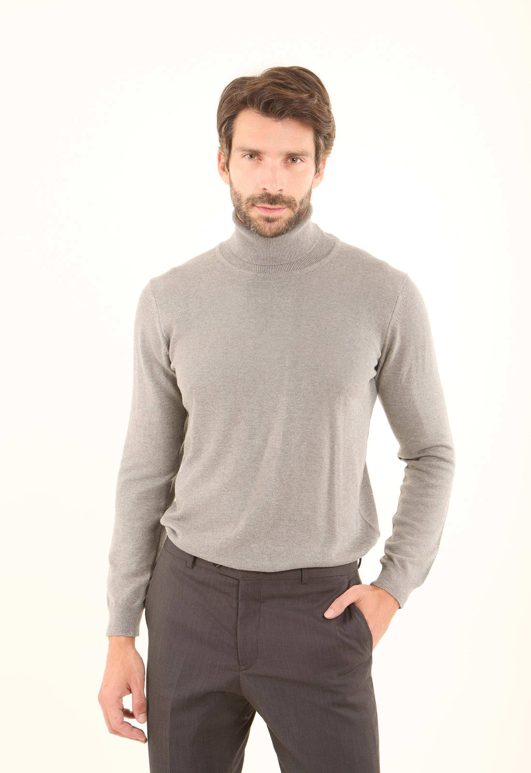 Turtle Neck Solid Regular Basic Pullover