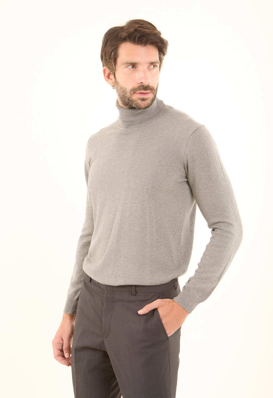 Turtle Neck Solid Regular Basic Pullover