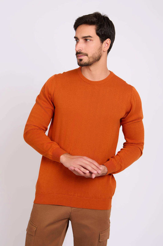 Long Sleeves Solid Basic Pullover