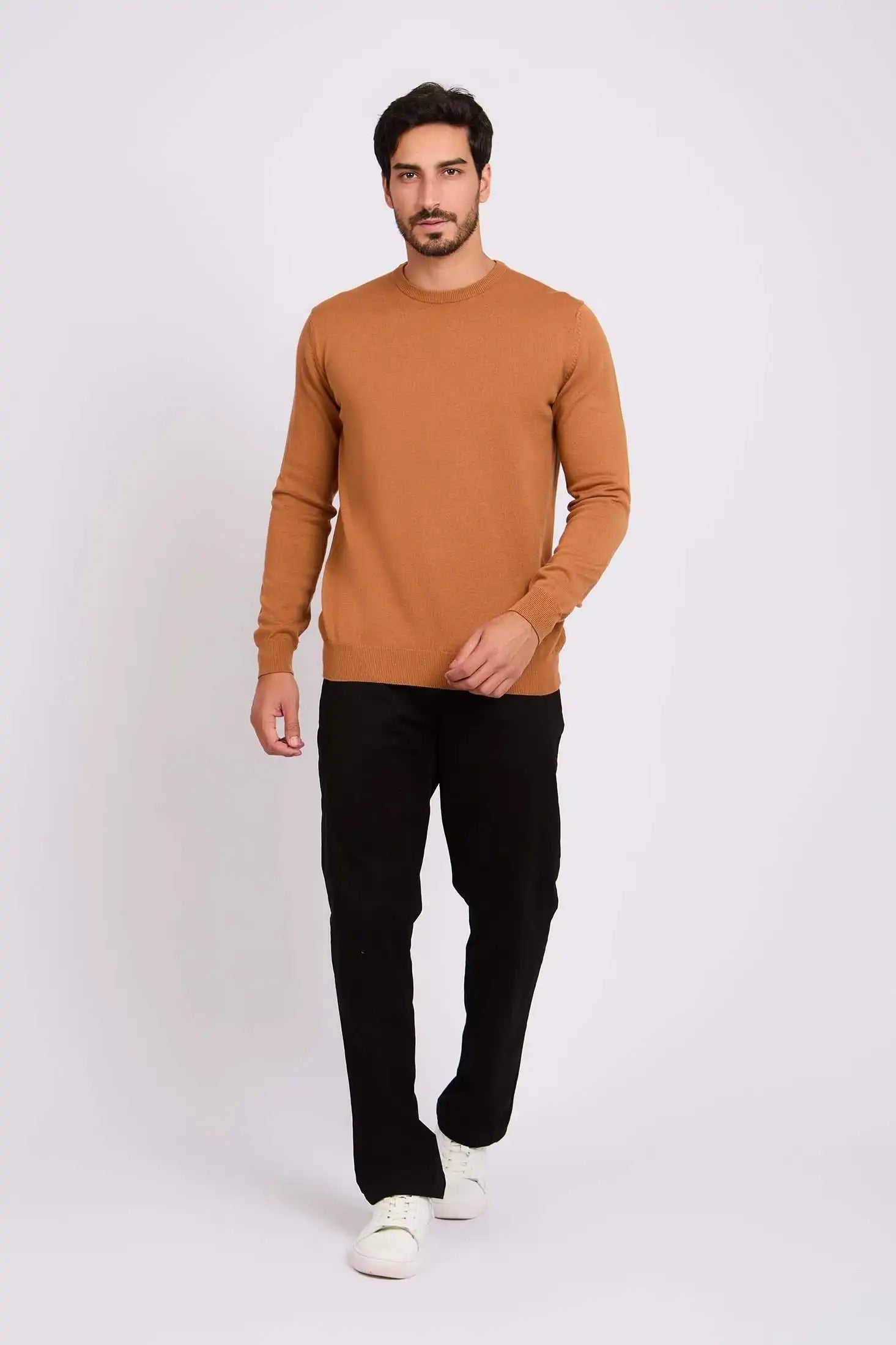 Long Sleeves Solid Basic Pullover