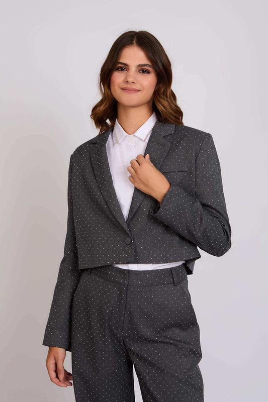 Women Regular Fit Blazer Grey