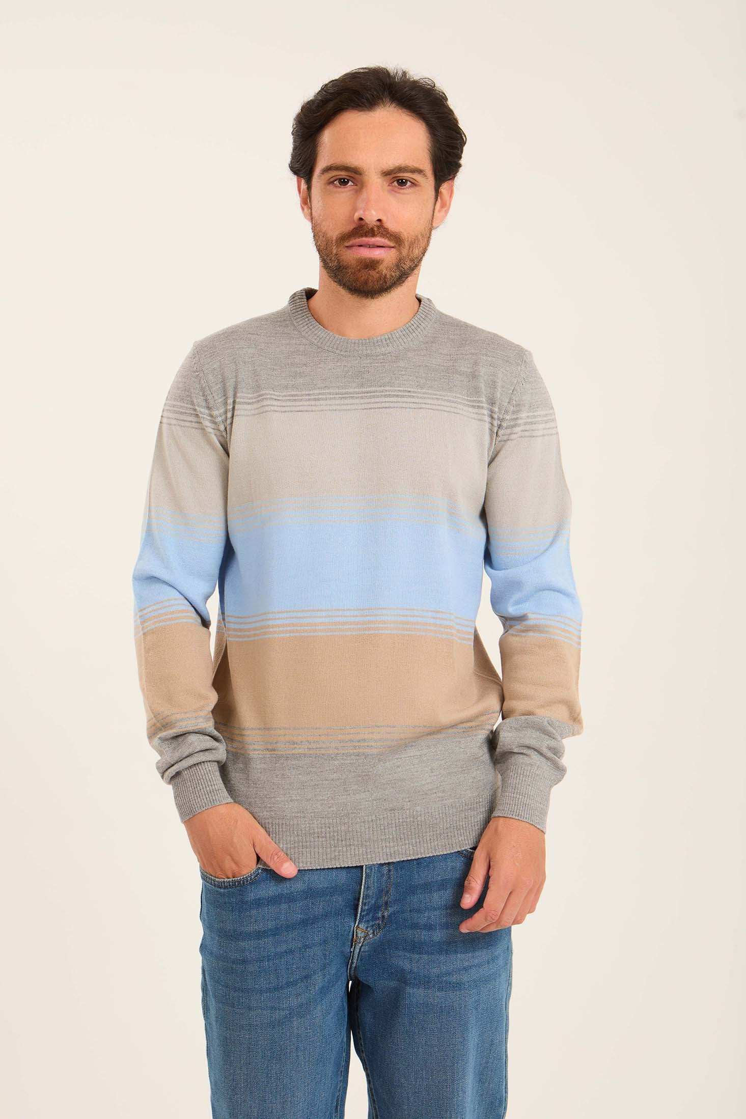 Men Striped Regular Fit Pullover Multicolor