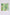 Women Scarf Green Multicolor