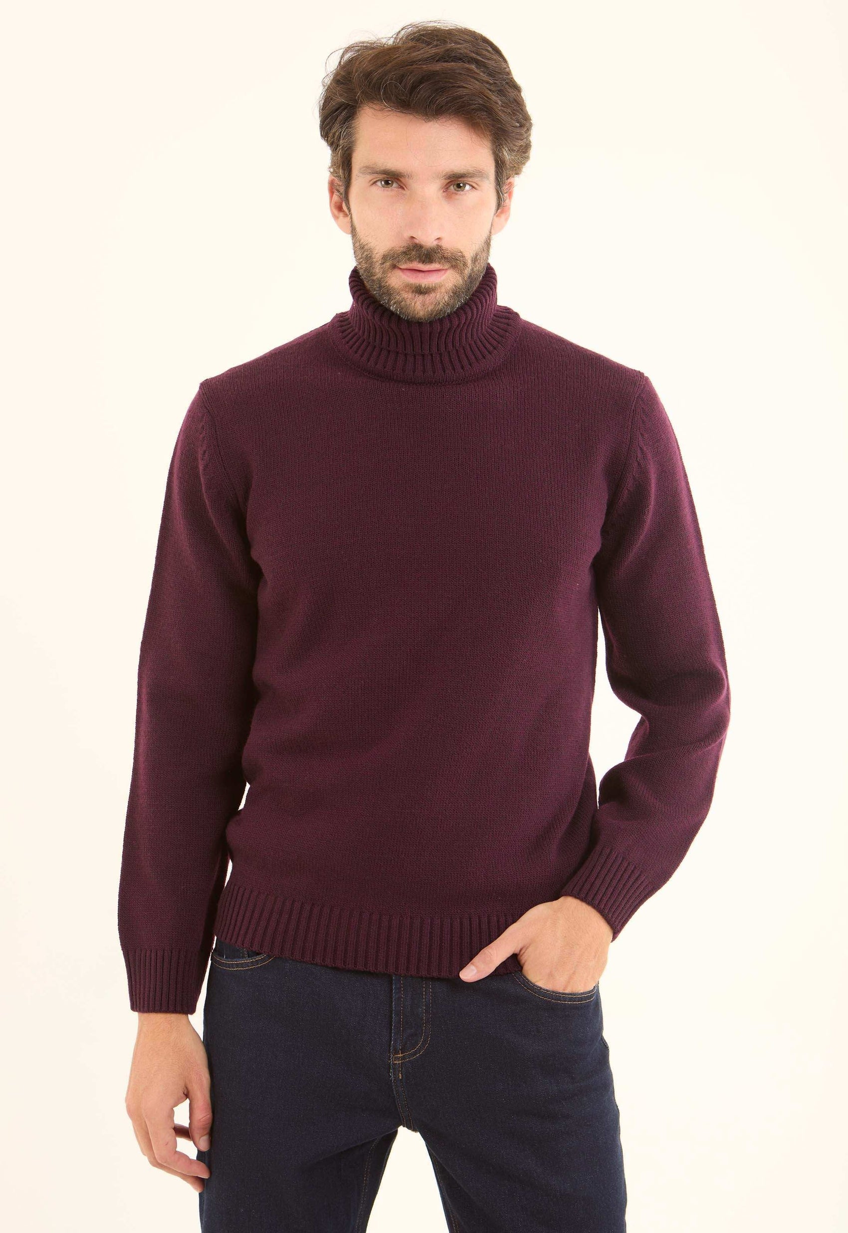 Basic Knitted Pullover with Ribbed Turtle Neck