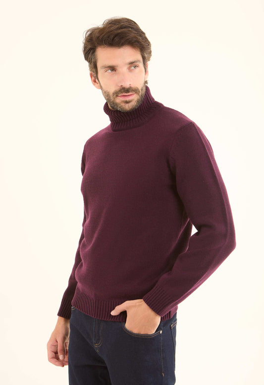 Basic Knitted Pullover with Ribbed Turtle Neck