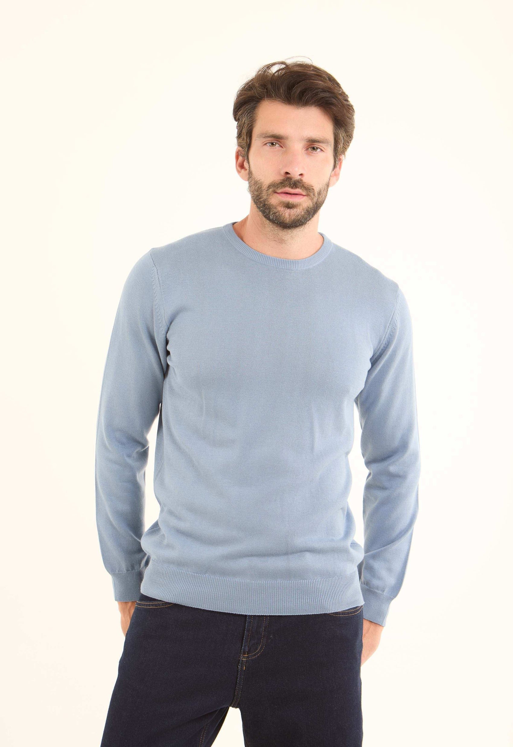 Long Sleeves Solid Basic Pullover