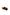 Chestnut Classic Moccasins